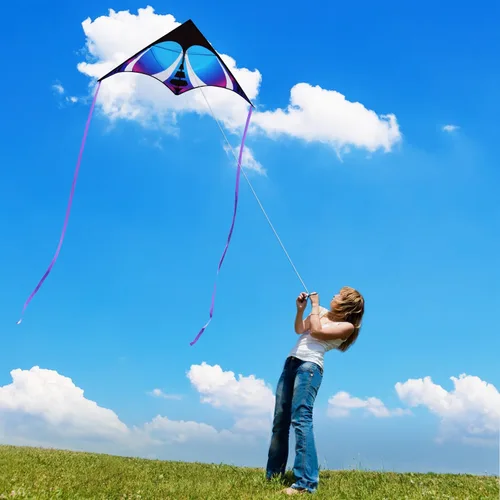 Miniatura 4 de HONBO Cometa Delta grande para niños y adultos, extremadamente fácil de volar para viajes a la playa, línea de cuerda incluida, con cola colorida