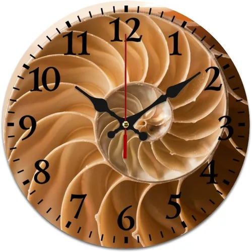 Fibonacci Curve Golden Sección Reloj de pared PVC redondo reloj silencioso sin tictac decorativo para oficina en casa 25cm/9.84in