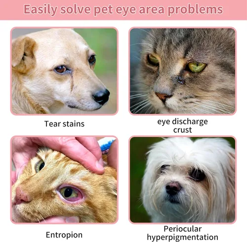 Miniatura 6 de Bálsamo removedor de manchas de lágrimas para mascotas, 1 oz (30 g), cuidado de ojos natural a base de plantas para perros y gatos, limpia