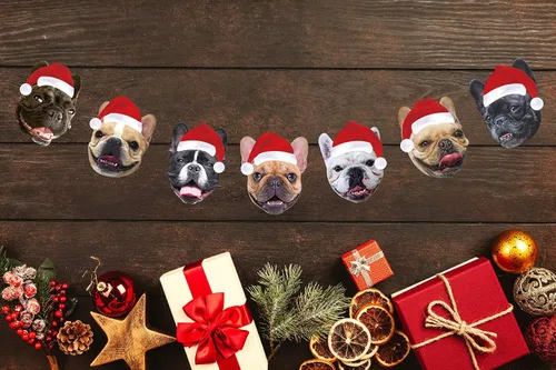 Miniatura 2 de Letrero para fiesta de cumpleaños «Happy Birthday» #5. Guirnalda navideña de bulldog francés