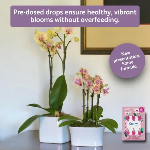 Miniatura 3 de Chrysal Gotas de Alimento para Orquídeas — Cuidado de Orquídeas — Un Paquete para un Suministro de un Año — Alimento Floral Concentrado para Todas