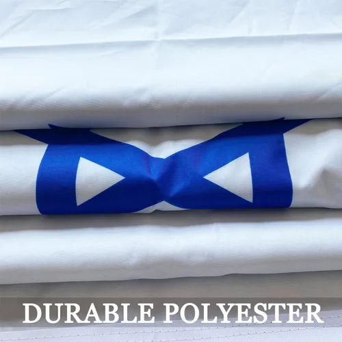 Miniatura 6 de Bandera israelí de doble cara de 2 x 3 pulgadas para exteriores, resistente 3 capas, poliéster 240D, colores vivos, bandera de Israel de 2 x 3 – 2