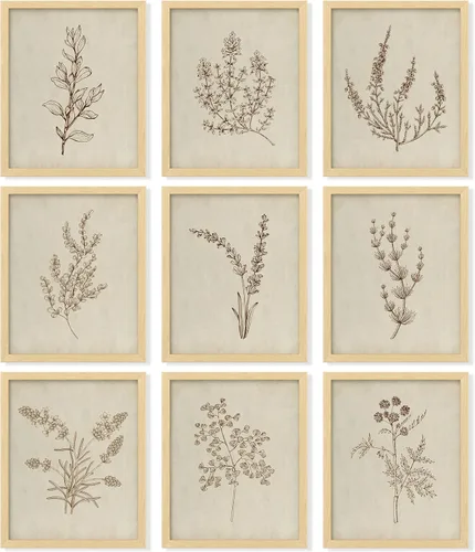 97 Decor Arte botánico para pared, impresiones botánicas vintage, decoración de pared de plantas, cuadros florales neutros, cuadros de póster de
