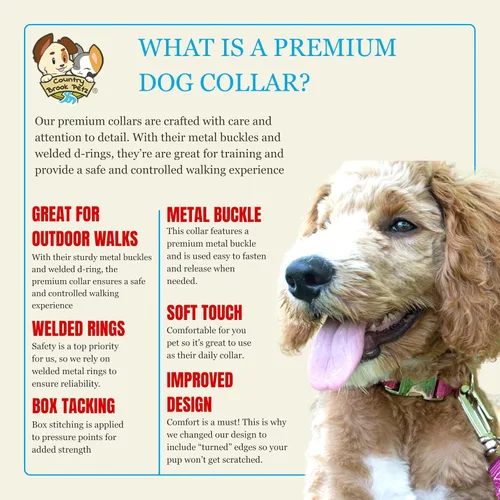 Miniatura 5 de Country Brook Petz - Collar de nailon para perro con hebilla de metal para razas pequeñas, medianas y grandes, más de 10 colores cálidos