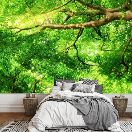 Miniatura 16 de wall26 serie Wall Mural Papel de empapelar autoadhesivo, grande., WMR-WP-X-D986-66x24x4