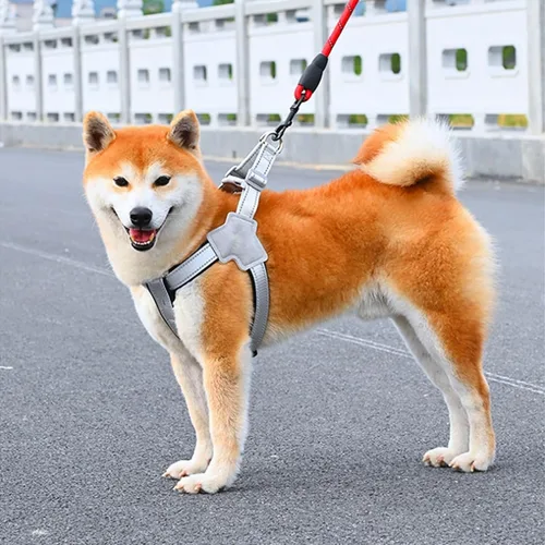 Miniatura 6 de Arnés para perro con tiras reflectantes, diseño a prueba de escapes, fácil de llevar para perros pequeños, medianos y grandes (negro, S)