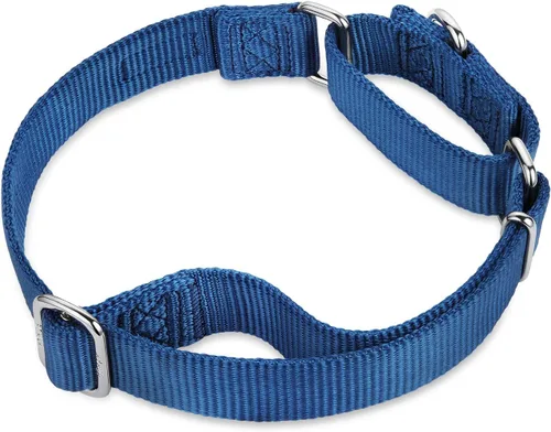 Miniatura 4 de Hyhug Collar Martingale para perros, grande, azul, a prueba de escape, nailon resistente, duradero, sin tirones, ideal para entrenamiento y paseos