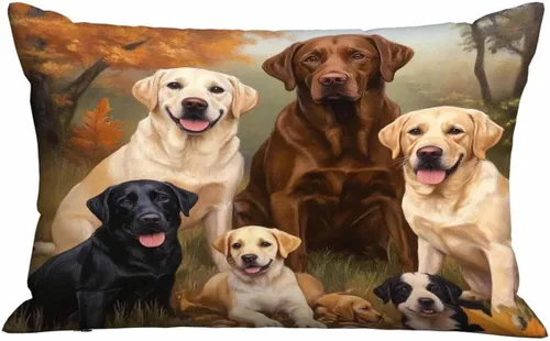 Miniatura 16 de Mugod Funda de almohada rectangular con purpurina dorada, cita motivacional, Hello Beautiful, funda de cojín decorativa para sofá de 20 x 30 pulgadas