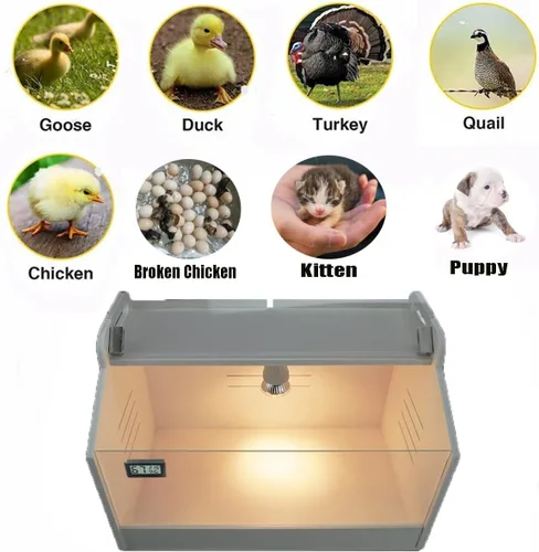 Miniatura 5 de Caja inteligente para cría 10-15 recién nacidos, pollitos, codorniz, pájaros, animales pequeños, incubadoras manuales, calentador de aves de corral