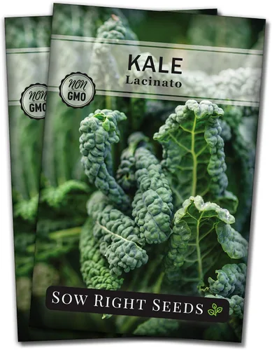 Miniatura 7 de Sow Right Seeds - Semilla de col rizada Lacinato para plantar - Paquete de reliquia sin OMG con instrucciones para plantar un huerto casero