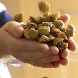 Miniatura 2 de Las galletas con chispas de chocolate más pequeñas y irresistibles del mundo, regala microchips gourmet, mini galletas frescas de 5 onzas en caja