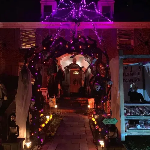 Miniatura 6 de Dazzle Bright - Guirnalda de luces de hadas de Halloween, 60 luces LED de 20 pies de alambre de cobre a batería y resistente al agua, decoraciones