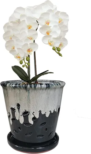Macetas redondas de cerámica para orquídeas con agujeros, 6 pulgadas, color negro, decoración contemporánea para el hogar