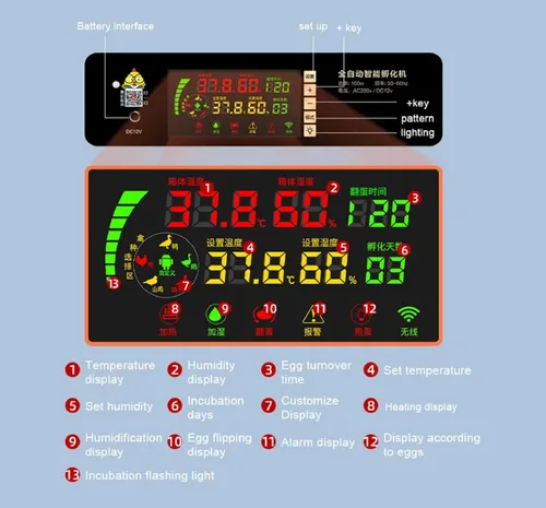 Miniatura 4 de Incubadoras de huevos para incubar huevos de pollo con volteador automático de huevos, pantalla LED y control de humedad, máquina digital para criar