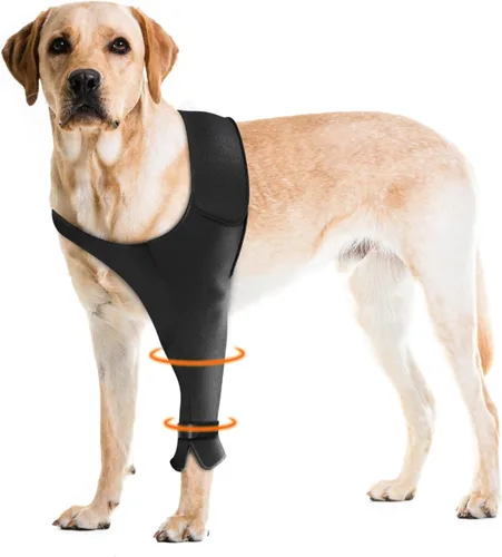 Manga de Recuperación Pawfun para Perro para la Pata Delantera – Manga Única para Perro para Detener el Lamido – Protección Transpirable para Dolor