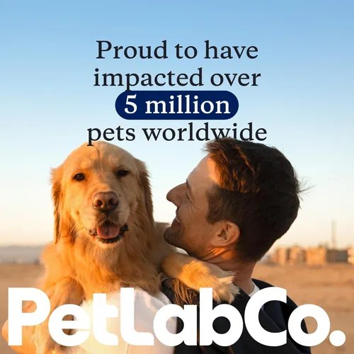 Miniatura 7 de PetLab Co. Probióticos para perros, ayudan a la salud intestinal, la diarrea ocasional, la salud digestiva y las alergias estacionales, sabor a