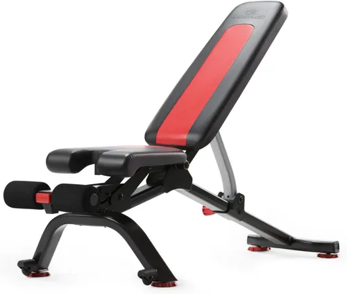 BowFlex Serie de banco de pesas