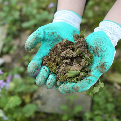 Miniatura 5 de COOLJOB - Guantes de jardinería para mujer, transpirables y con recubrimiento de goma, para exteriores, guantes de trabajo con agarre - Talla S, 2