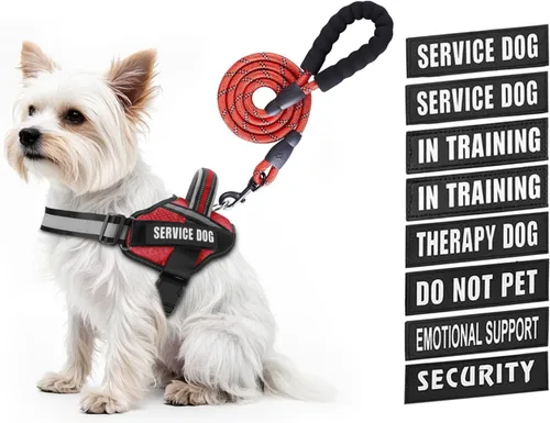 Miniatura 26 de Juego de arnés y correa para perro de servicio, arnés de entrenamiento para perro Animire con 10 parches para perros, correa reflectante para perro