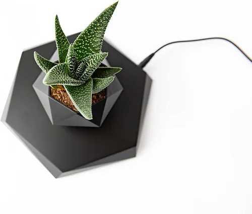 Miniatura 9 de BandDlevs Macetas flotantes para plantas - Maceta levitante - Maceta levitadora para bonsái, suculentas, plantas de aire - Exhibidor magnético