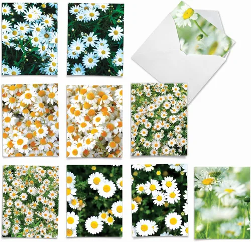 Miniatura 9 de The Best Card Company - 10 tarjetas de notas en blanco con flores (4 x 5.12 pulgadas) - Tarjetas de notas florales, surtido en caja para todas