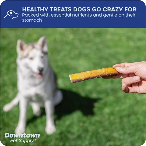 Miniatura 4 de Downtown Pet Supply Bully Sticks - Golosinas dentales y masticables para perro, tiras de carne natural premium de 6 y 12 pulgadas, extra gruesas