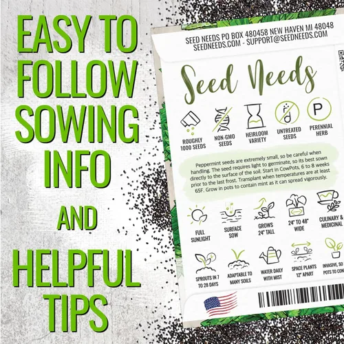 Miniatura 4 de Seed Needs, Semillas de menta – 1000 semillas tradicionales para plantar Mentha piperita – Hierba medicinal/culinaria, sin OMG y sin tratar – Ideal