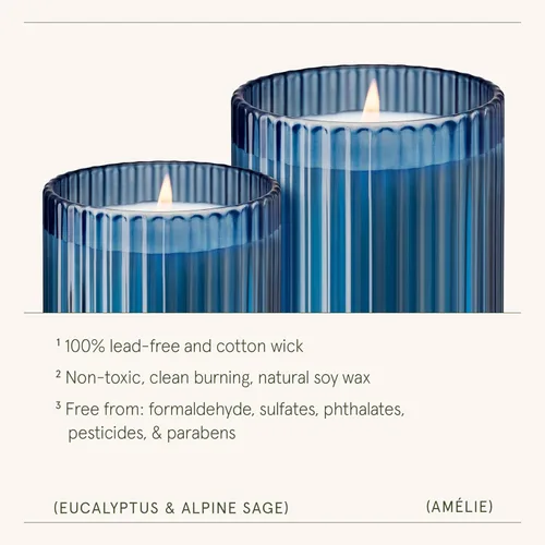 Miniatura 5 de LA JOLIE MUSE Vela perfumada de eucalipto y romero - vela de aromaterapia para relajación, cera de soja natural, velas en frasco de vidrio