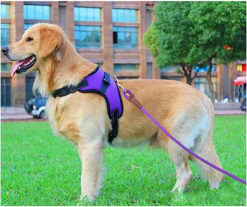 Miniatura 9 de Correa de cuerda para perro de 6/8/10 pies, correa clásica de 1/2 pulgada, cuerda de nailon fuerte para perros medianos y grandes, entrenamiento al