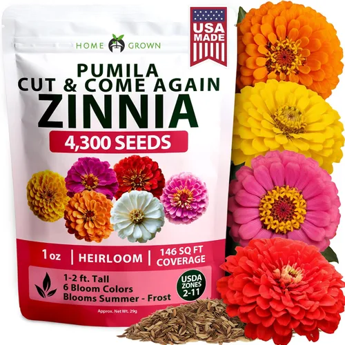 Miniatura 80 de HOME GROWN Semillas de zinnia rosa – 300 zinnias Luminosa 0.5g, semillas anuales de flores fáciles de cultivar para plantar al aire libre para 2026