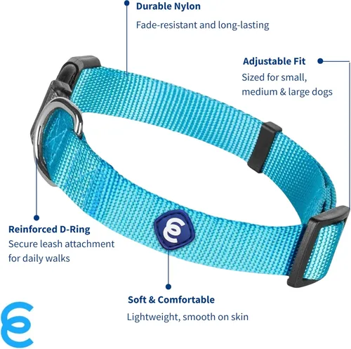 Miniatura 2 de Blueberry Pet Essentials - Collar ajustable para perro en turquesa Collares para perros medianos y grandes Nylon ecológico para cachorros machos