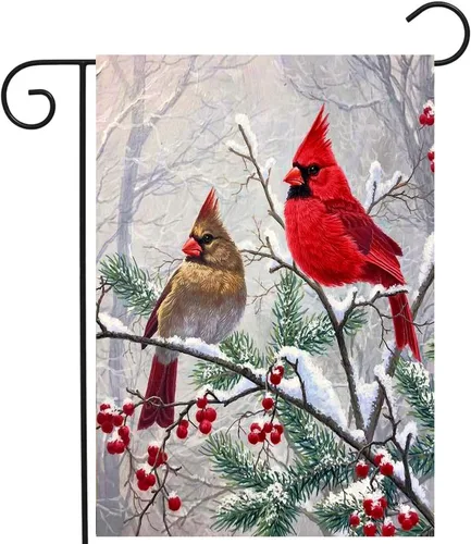 Banderas de jardín de cardenal rojo de invierno para Navidad, para exteriores, 12x18, doble cara, pájaros rojos en la rama de un árbol, bandera de