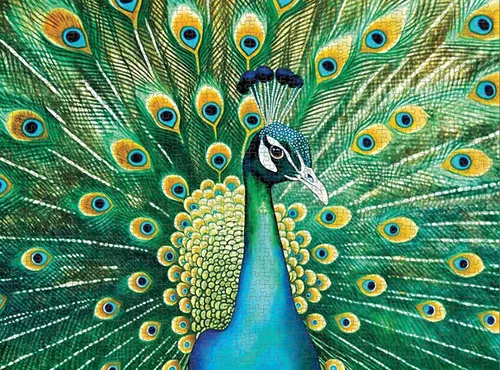 Miniatura 6 de Cross & Glory - Pavo real esmeralda - Rompecabezas de 1000 piezas para adultos Obras de arte coloridas de animales 20 x 27 pulgadas Acabado