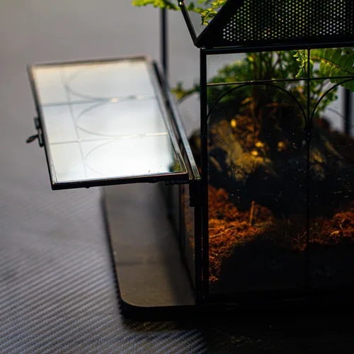 Miniatura 7 de NCYP Recinto de vidrio con orificios de ventilación para insectos, arañas saltadoras, 7.5 x 4.9 x 9 pulgadas, pequeña puerta cerrada de apertura