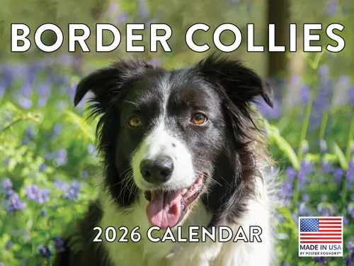 Miniatura 47 de Calendario de pared mensual 2025 Great Dane de 12 meses, fabricado en Estados Unidos