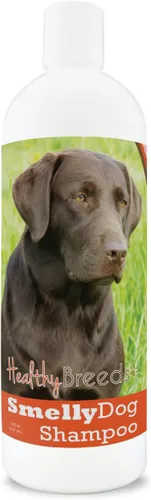 Miniatura 44 de Healthy Breeds Chow Chow - Champú de bicarbonato de sodio para perros malolientes, 8 onzas