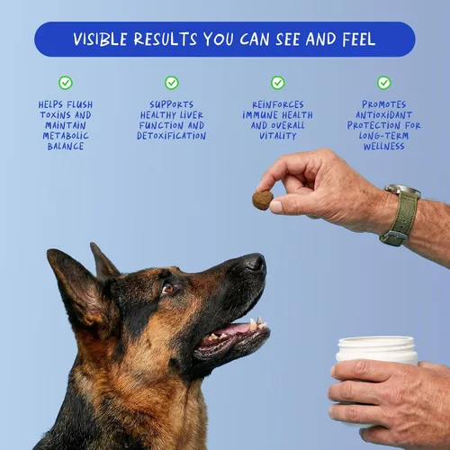 Miniatura 3 de Cardo mariano para perros – 90 masticables suaves – Apoyo hepático y renal – Apoyo hepático con EPA y DHA – Desintoxicación – Suplemento hepático