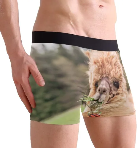 Miniatura 4 de ZZKKO Skull Llama - Calzoncillos tipo bóxer para hombre, transpirables, elásticos, con bolsa, tallas S-XXL