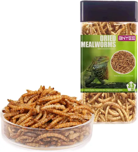 Miniatura 6 de Gusanos de harina secos de reptiles para mascotas, alimento para dragones barbudos, lagarto, tortugas, camaleón, monitor, rana, planeador de azúcar
