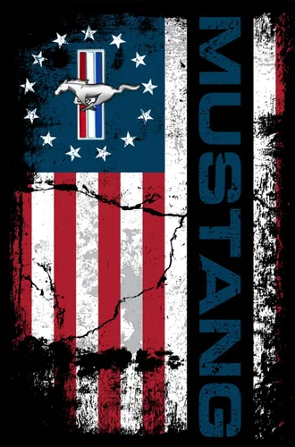 Miniatura 5 de JH DESIGN GROUP Sudadera con capucha Ford Mustang con bandera de Estados Unidos envejecida para hombre