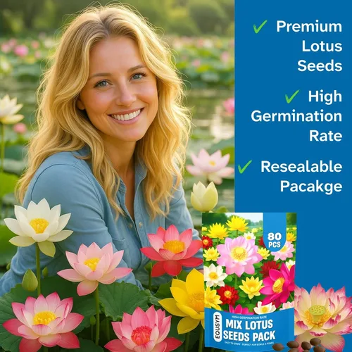 Miniatura 6 de 80 piezas de semillas de loto para plantar – Semillas de flor de loto en cuenco Bonsai, semillas mixtas de loto fáciles de cultivar,