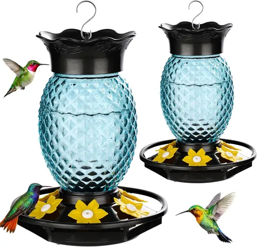Fchstaer Comederos de vidrio para colibríes para colgar al aire libre, paquete de 2 unidades de 16 onzas, a prueba de abejas y hormigas, 360°, a