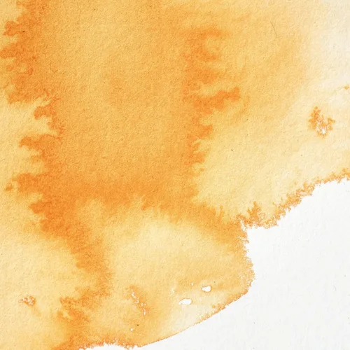 Miniatura 134 de Winsor & Newton - Pintura para acuarela profesional Tinte neutro