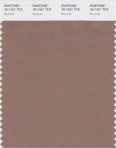 Miniatura 16 de PANTONE Tarjeta de muestra de color inteligente 18-1314X, bellota