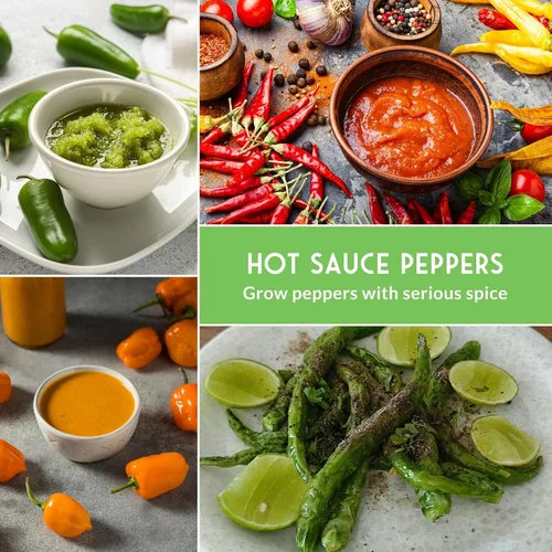 Miniatura 6 de Paquete variado de semillas de pimiento picante para plantar 4 variedades: jalapeño, serrano, cayena y habanero – chiles tradicionales picantes
