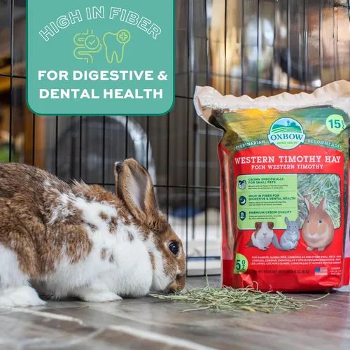 Miniatura 12 de Oxbow Western Timothy Hay para Mascotas Pequeñas – Heno de Hierba Totalmente Natural para Conejos, Cobayas y Chinchillas – Alto en Fibra