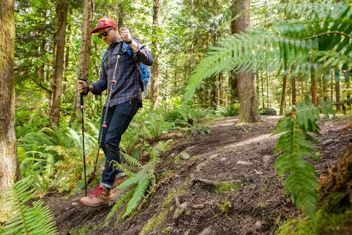 Miniatura 7 de Cascade Mountain Tech - Bastones de senderismo de fibra de carbono, bastones para caminar o hacer senderismo con seguros ajustables rápidos Corcho