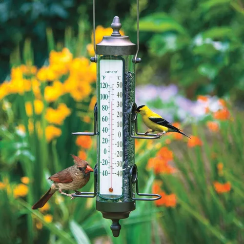 Termómetro de comedero para pájaros: mantén un registro de tus amigos y la temperatura - Un alimentador por oferta