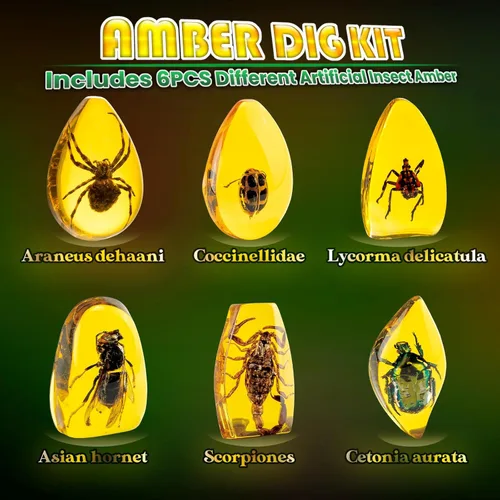 Miniatura 2 de Kit de Excavación de Ámbar GobiDex - Resina de Insectos Artificial, Excava 6 Especímenes de Insectos, Juguetes Educativos de Bichos STEM, Juguetes