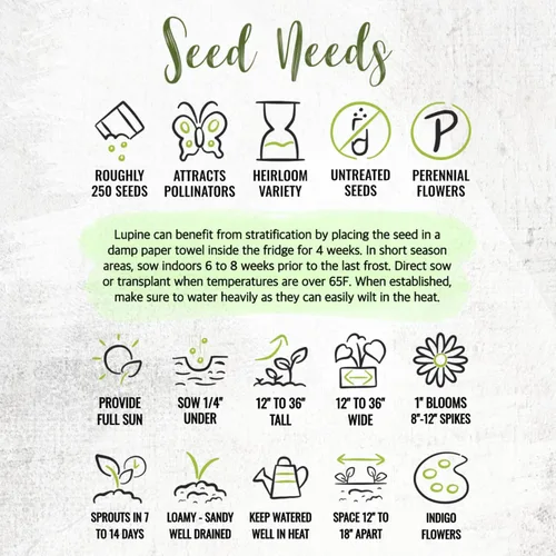 Miniatura 8 de Seed Needs Semillas silvestres perennes de altramuces para plantar reliquias y flores polinizadas abiertas, flores atractivas perfectas para un